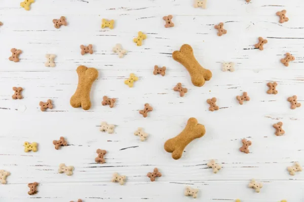 Dry Dog Food Shapes