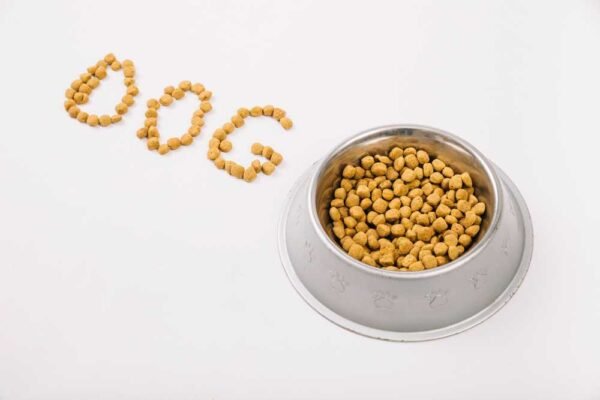 Yeast-free Dog Food