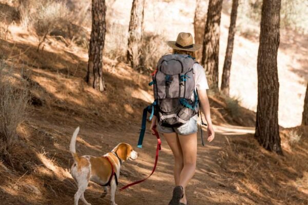 Outdoor Dog Activities