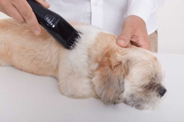 Cordless Dog Grooming Clippers