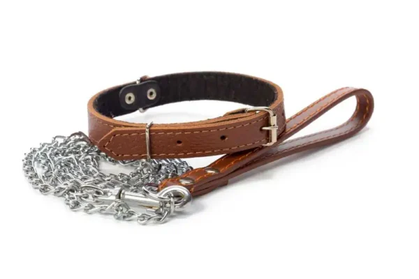 Martingale Collars For Large Dogs