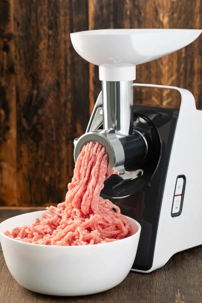 Best Meat Grinder For Raw Dog Food