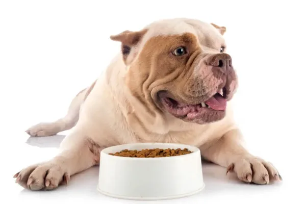 Dealers Choice Bully Breed Dog Food Review