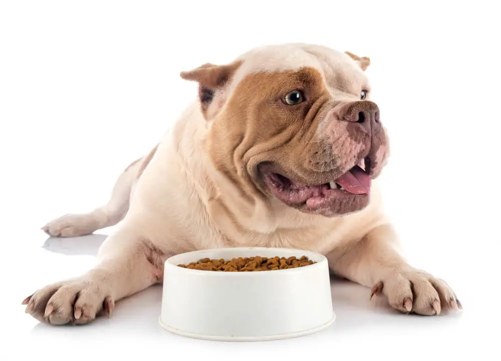 Dealers Choice Bully Breed Dog Food Review