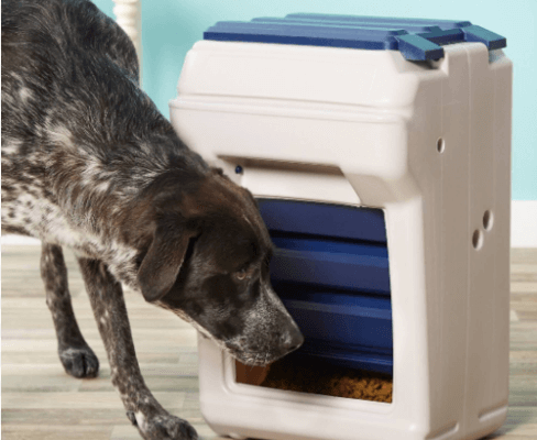 Blitz Automatic Dog Feeder