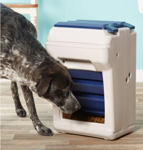 Blitz automatic dog feeder