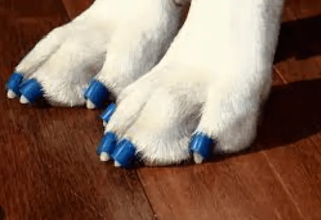 nail grips for dogs