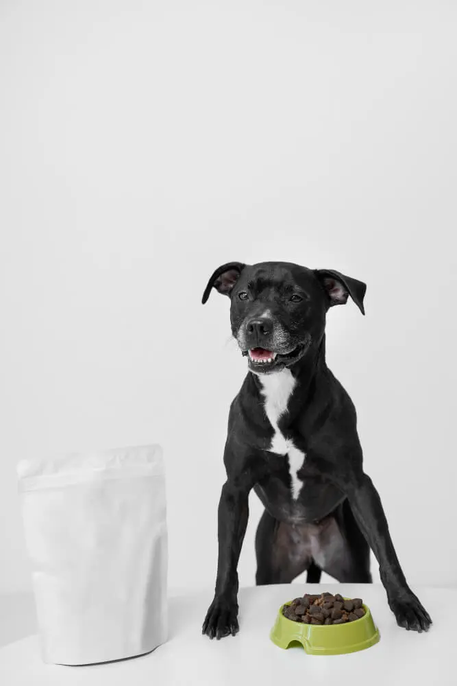 pet food bags 5kg