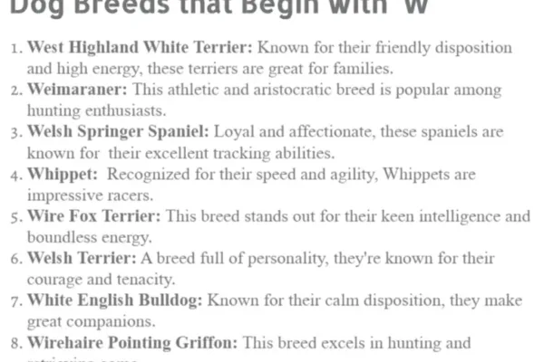 Dog Breed Starts With W