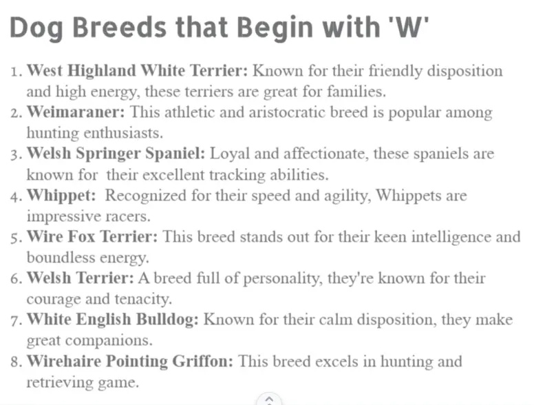 Dog breed starts with w