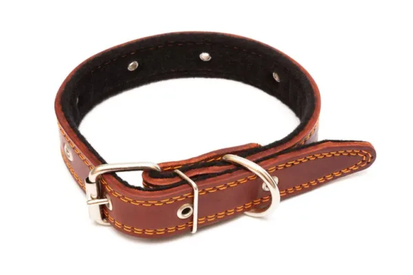 Leather Dog Collars For Large Dogs