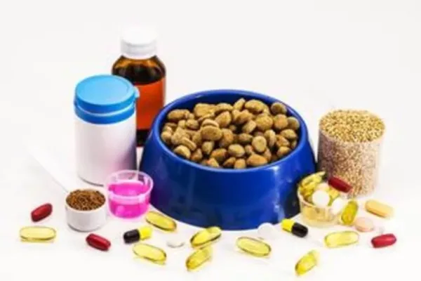 Dog Supplements