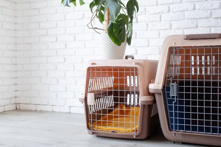 dog crate for labrador puppy